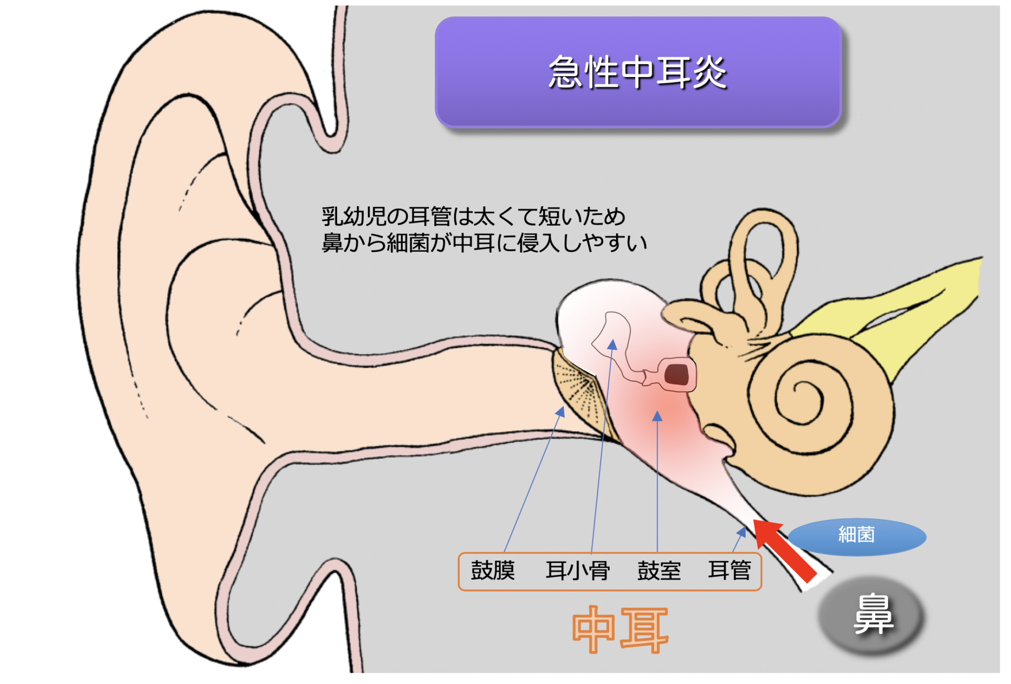 唾 を 飲む と 耳 が 痛い