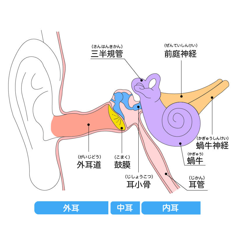 耳かき 頻度