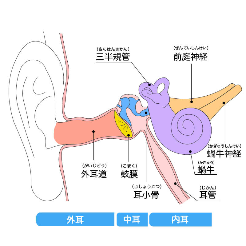 耳 の 中 でき もの