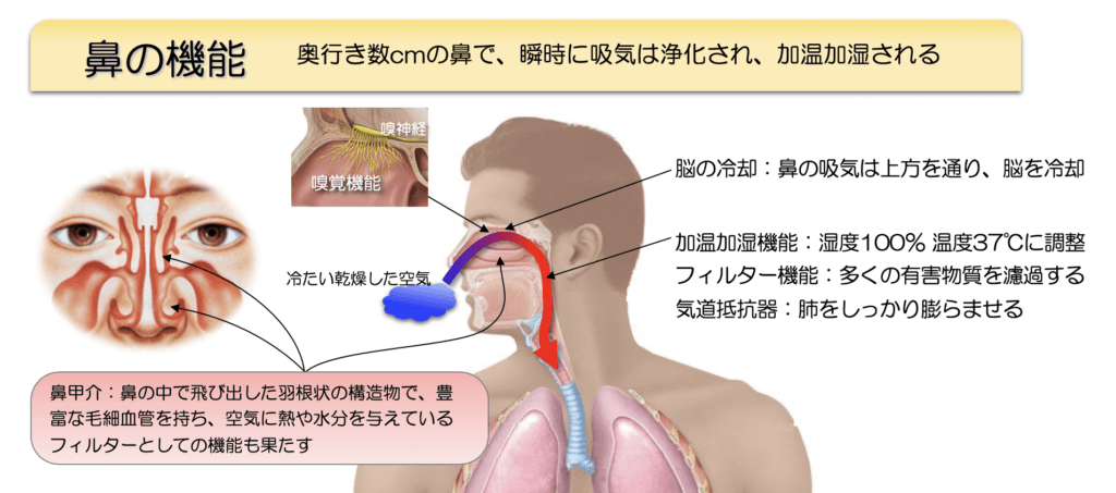 鼻づまりの予防
