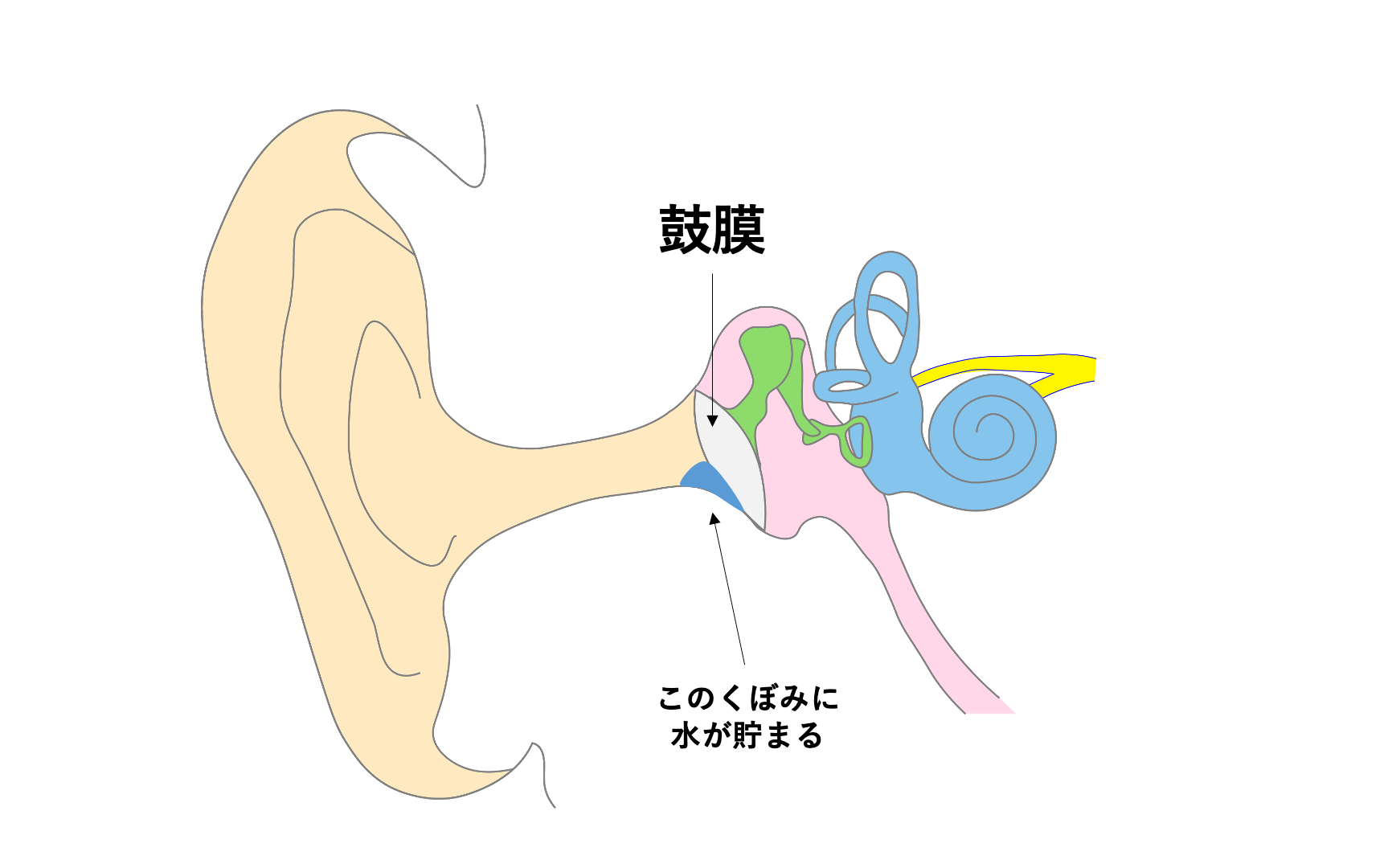 鼻水 耳 に 入る